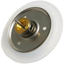 Kit reparatie Membrana Arca Caldaie RIC0931P Kit reparatie Membrana Arca Caldaie RIC0931P