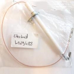 Electrod Immergas 1.029488