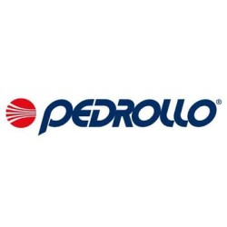 Pompe Pedrollo (JSW, PKm, CPm) și Hidrofoare cu Inverter (DG PED) – Pompare Apă Curată Pompe Pedrollo (JSW, PKm, CPm) și Hidrofoare cu Inverter (DG PED) – Pompare Apă Curată
