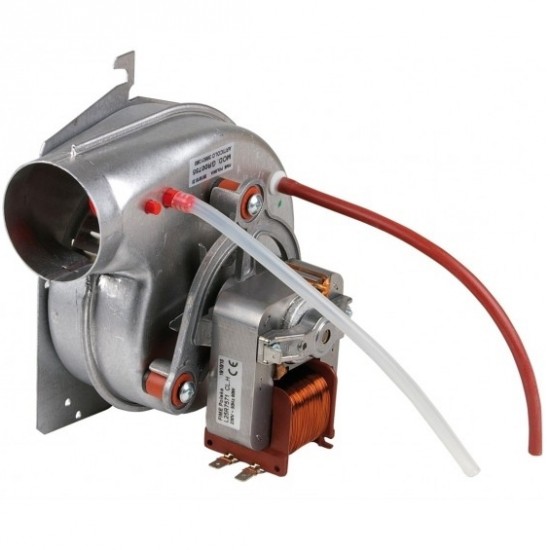 Ventilator F30 Domina | Ferroli 39819310